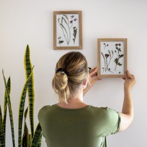 woman hanging framed pressed flower art on the wall