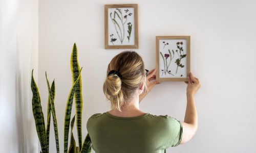 woman hanging framed pressed flower art on the wall